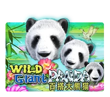 Joker123 : Wild Giant Panda - PLACEBET138